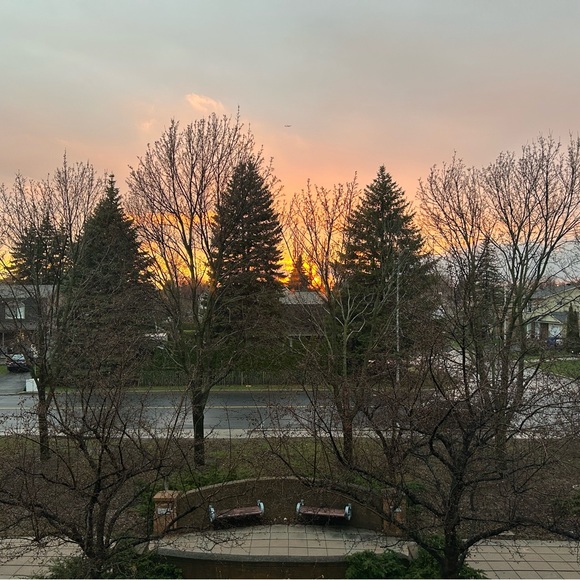 Meet your Posher, Nessa - Picture 1 of 1